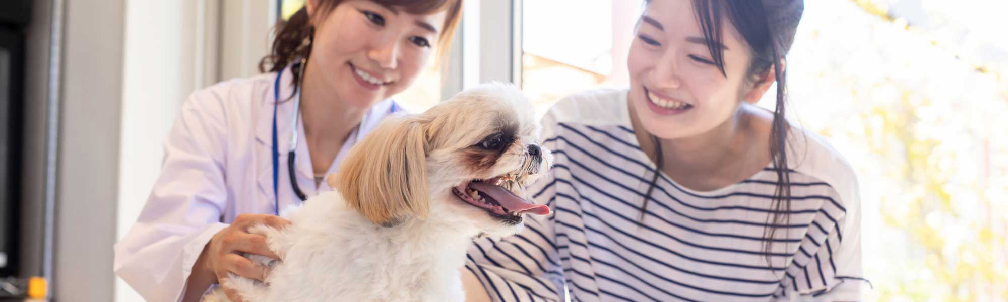 動物病院ホームページ制作例