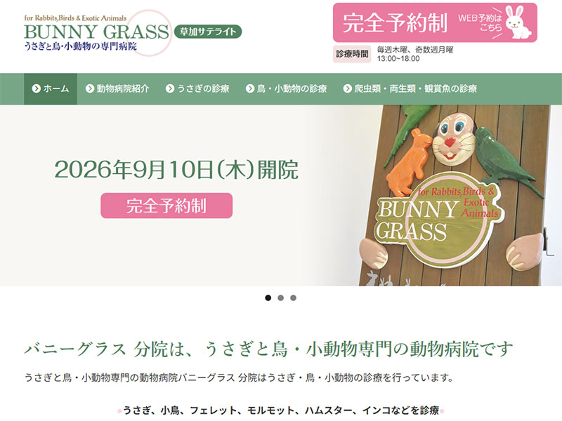 バニーグラス 分院様